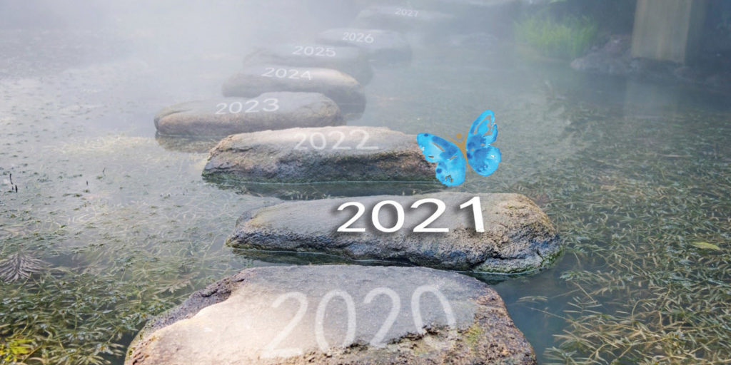 AoC-Blue-Butterfly-Stepping-Stone-picture-1024×683-copy