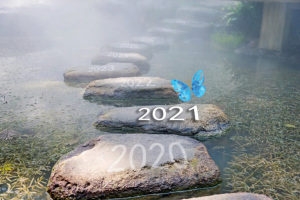 AoC-Blue-Butterfly-Stepping-Stone-picture-1024×683-copy